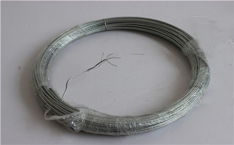 IMG_8665.jpg IMG_8665.jpg